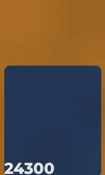 24300