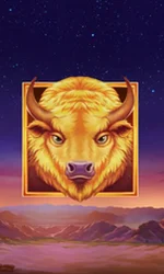 Buffalo's Sun 2